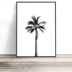 a black and white photo of a palm tree on a shelf in front of a wall