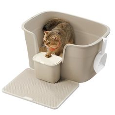 a cat is standing in a litter box