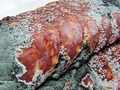 some brown and green rocks covered in white powdered sugary substance on top of each other