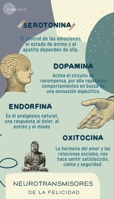 a poster with different types of words in spanish and english, including an image of a person's hand