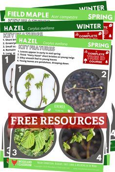 four different types of plants with the words free resources on them in red, green and white