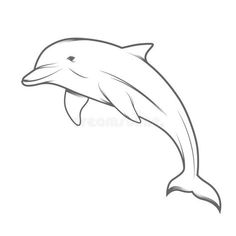 a dolphin jumping up in the air royalty illustration