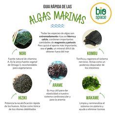 an info sheet describing the different types of algaes and what they are used to make them