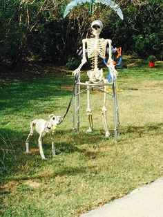 a skeleton with a dog on a leash standing in the grass next to an umbrella