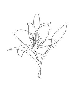 a line drawing of a flower on a white background