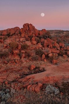 the moon is setting over some rocks in the middle of the desert with trees and bushes