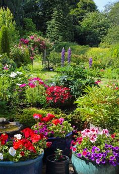 colorful flowers are in buckets on the ground