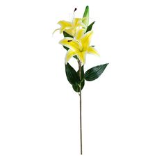 a yellow flower with green leaves on a white background