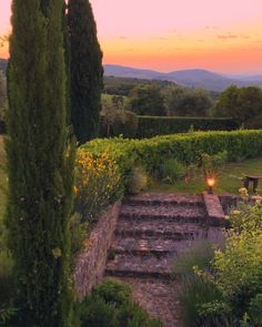 the sun is setting over an outdoor garden with steps leading up to trees and bushes