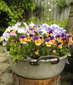 an old metal tub filled with purple and yellow flowers