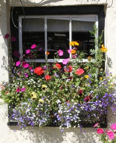 a window filled with lots of colorful flowers