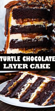 a chocolate layer cake with caramel drizzle on top and the words turtle chocolate layer cake above it