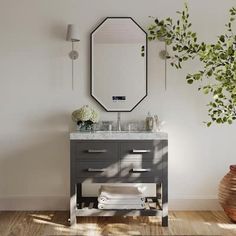 a bathroom with a mirror, sink and potted plant