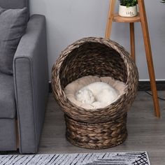 a cat curled up in a wicker basket on the floor next to a couch