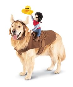 a dog wearing a costume with a frisbee in it's mouth and a man on top