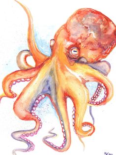 an octopus is shown in watercolor and ink