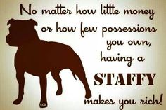 a black and white silhouette of a dog with the words, no matter how little money or how few possessions you own, having a staff makes you rich