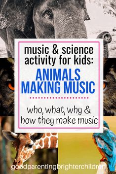 an elephant and giraffe with the words music & science activity for kids animals making music