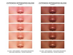 the different types of lip fillers are shown in this diagram, and there is no image to describe