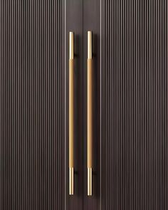 two wooden doors with brass handles and vertical slats on the sides, in front of a black wall