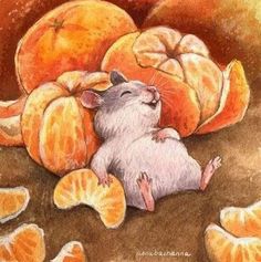 a drawing of a mouse surrounded by oranges