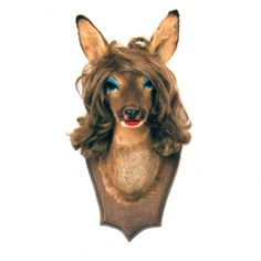 an animal head hanging on the wall with blue eyes and long brown hair, in front of a white background