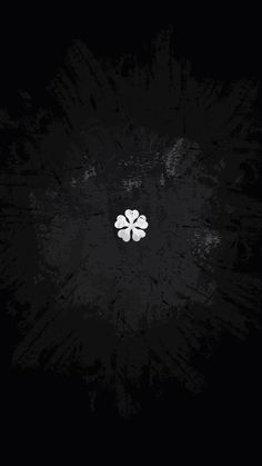 a four leaf clover on a black background