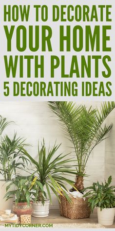 how to decorate with plants indoors How To Group Plants Together, Indoor Plant Grouping Ideas, Room Decor Ideas With Plants, House Plants Indoor Decor Living Room, Decorating Living Room With Plants, Botanical House Interiors, Indoor Plant Ideas Decor, Where To Hang Plants Indoors, Using Plants To Decorate Indoors