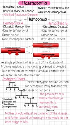 an info sheet describing the different types of blood vessels in human body and how they are used