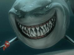 a smiling shark with its mouth wide open and teeth missing from it's mouth