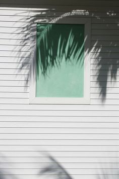 the shadow of a palm tree on a house wall