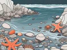 there are many starfish on the rocks in the water and under them is an octopus