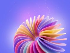 an abstract image of multicolored petals on a blue background