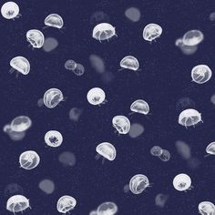 many jellyfish are floating in the dark blue ocean water, and one is looking up at the sky