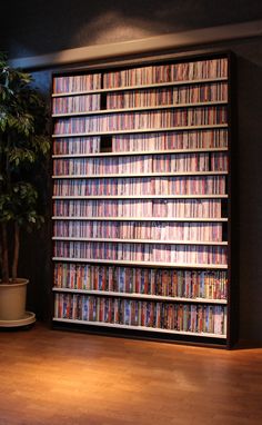 a large bookcase filled with lots of books next to a potted plant on top of a hard wood floor