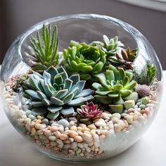 a glass bowl filled with lots of succulents