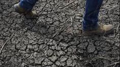 a person standing on top of a dry grass field