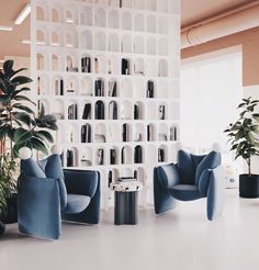 an office with blue chairs and plants in the corner, along with shelving on the wall