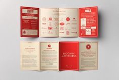 an open brochure with red and white designs