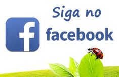 a ladybug sitting on top of a green leaf next to the facebook logo