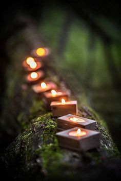 candles are lined up on a mossy log in the woods, lit by candlelight