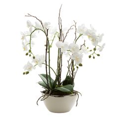 white orchids in a bowl on a white background