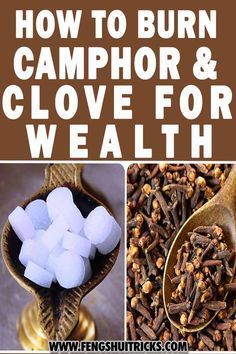 There are some herbs and spices that have the capacity to draw the energies of wealth promoting the flow of money. It is believed that attracting wealth to oneself is a function of energy in feng shui. In this post, we shared how to burn camphor and clove for wealth. Herbs For Wealth, Herbs For Wealth And Prosperity, Luck Affirmations, Millionaire Inspiration, Feng Shui Good Luck, Manifestation Prayer, Affirmations Success, Feng Shui Wealth, Money Spells That Work