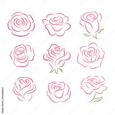 the outlines of different roses are shown