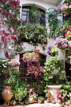 many potted plants and flowers in front of a building