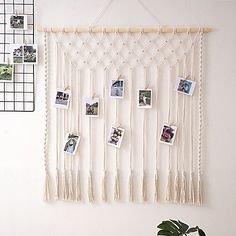 a white wall hanging with pictures and photos on it next to a potted plant