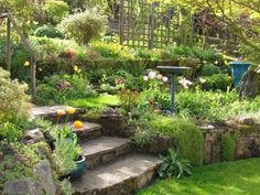 an outdoor garden with steps leading up to the trees and flowers on the hillsides