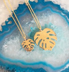 Petite gold filled or sterling silver monstera leaf on gold filled or sterling silver chain. Monstera pendant is approximately 10-11 mm. Spring ring clasp. Monstera Leaf, Sterling Silver Chain, Spring Rings, Sterling Silver Chains, Charm Necklace, Silver Chain, Gold Filled, Necklaces, Sterling Silver