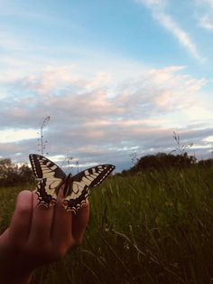 a hand holding a butterfly in the middle of a grassy field with trees and clouds behind it