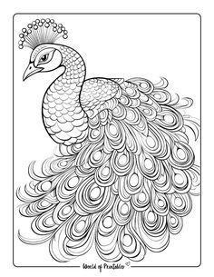 a coloring page with a peacock on it's back and its feathers spread out